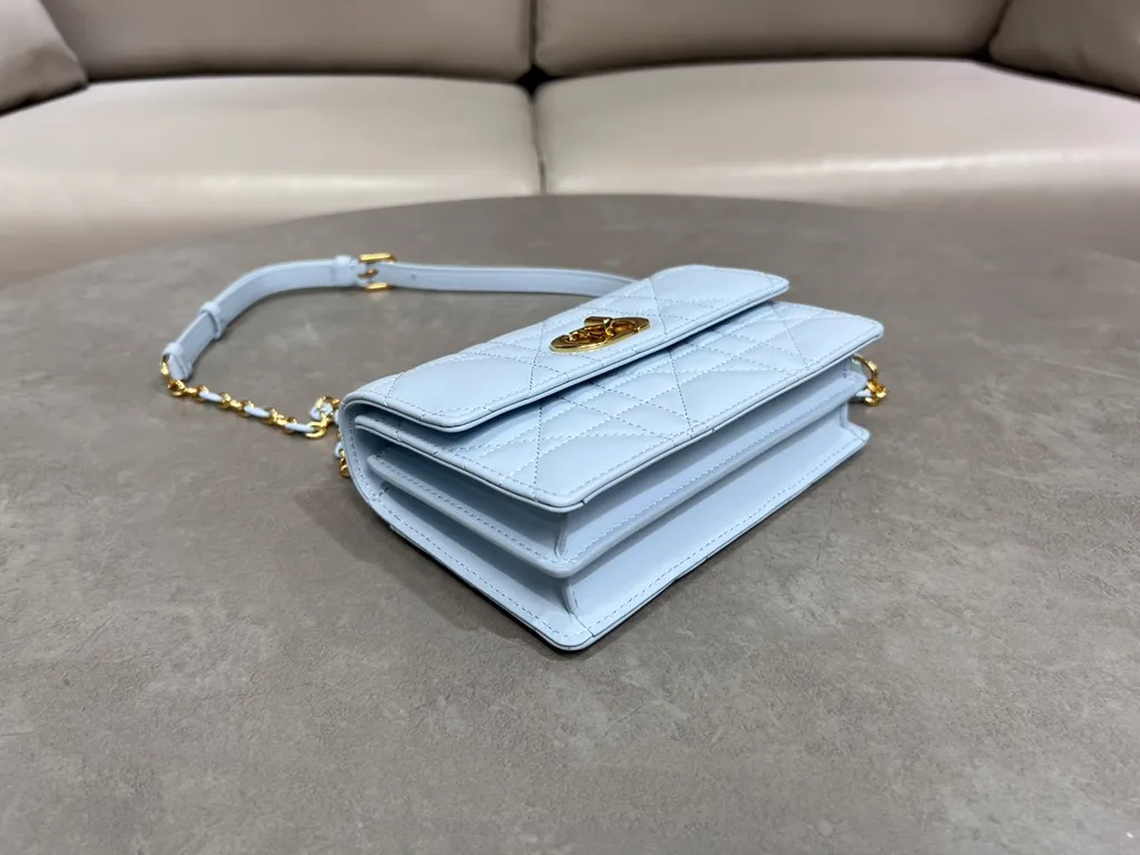 Dior Bag 